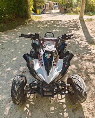 Quad LEM Motor 110