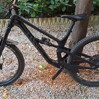 Canyon Spectral 29 CF7 2022 Taglia L