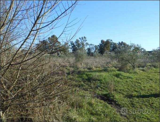 Terreno Agricolo a Latina - Vista 5