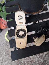 telefono grillo