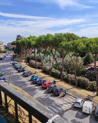 4 LOCALI A ALBANO LAZIALE