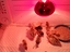 Immagine 3