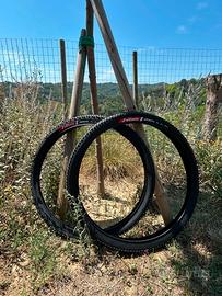 Pneumatici Mountain Bike