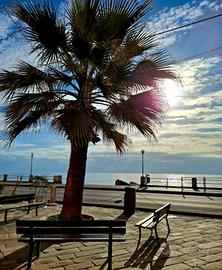 DA PRIVATO*VARAZZE VICINO MARE*Appena ristrutturat