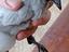 Immagine 6
