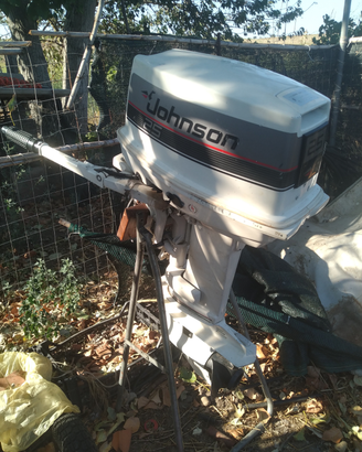 Motore Johnson 521 25 cv rigenerato
