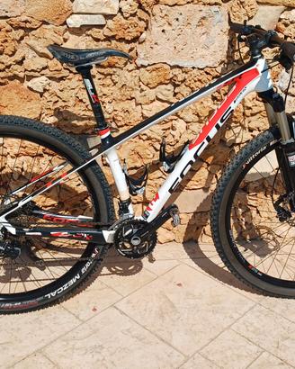 mtb carbonio