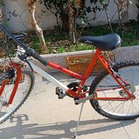 MTB DA 26 bici donna bambina