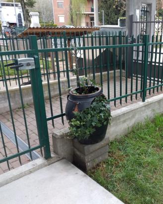 Vaso antico con terra e pianta