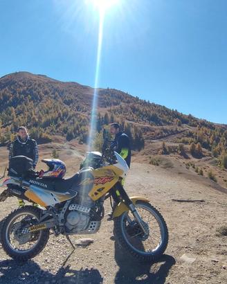 Honda dominator 97' Rd08