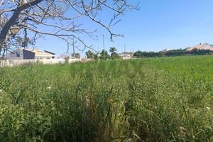 Terreno - Comiso