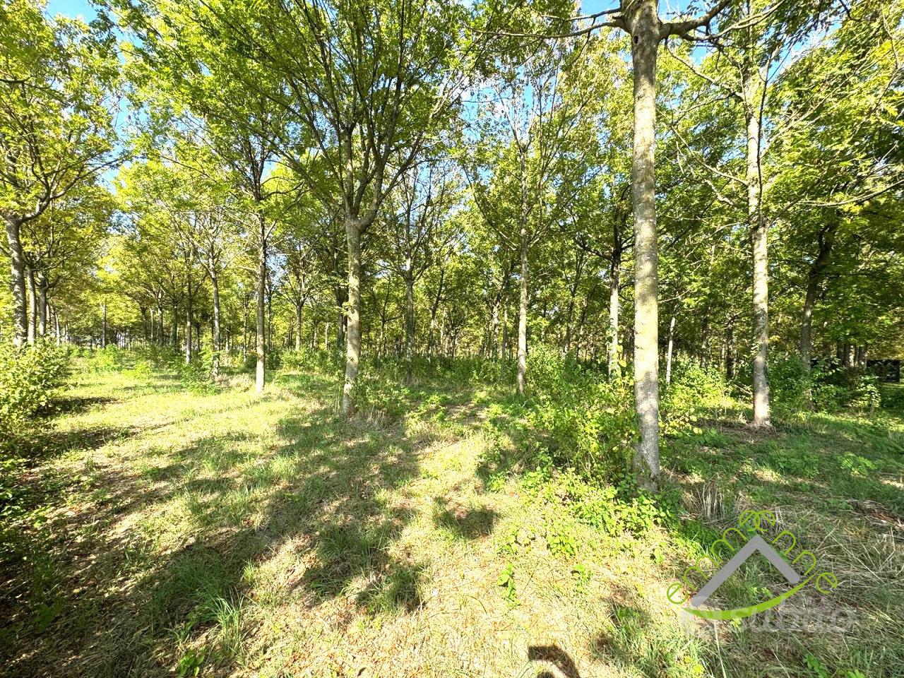 Terreno a Dolo (VE) - Sambruson - Vista 2