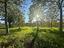 Immagine 29