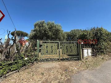 Terreno Residenziale Roma [832VRG]