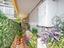 Immagine 24