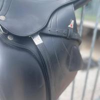 Staffili per sella di monta inglese