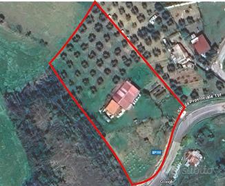 Terreno Edificabile loc. Villa Stanghieri