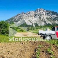 BORDALA: SOLEGGIATO PRATO Proponiamo soleggiato pr