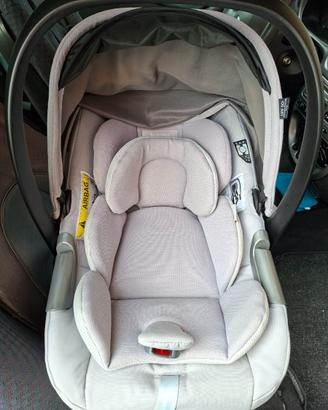 Ovetto Inglesina Electa