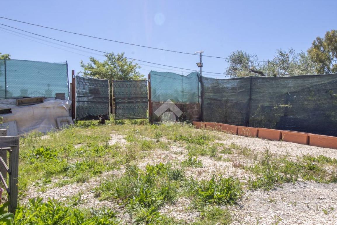 TER. AGRICOLO A MONTEROTONDO - Altro