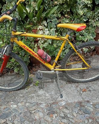 Mountain bike 