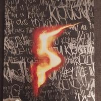 Resident evil 5 steelbox edition Xbox 360