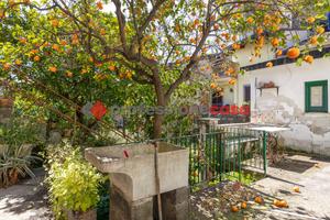 San Giovanni la Punta - Palazzetto Indipendente