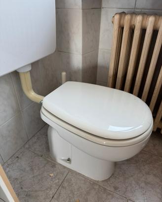 WC ideal standard