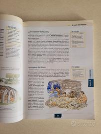 libro  scolastico prima superiore 