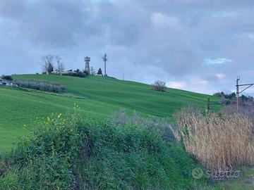 Terreno di 41169 m² a Castel Frentano