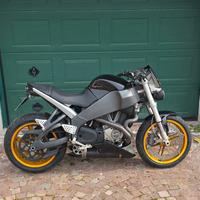 buell xb 12 s 