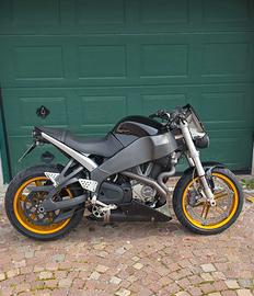 buell xb 12 s 