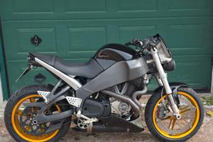 buell xb 12 s 