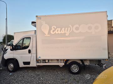 FIAT DUCATO FRIGO 2019