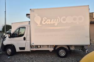 FIAT DUCATO FRIGO 2019