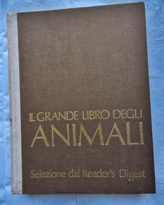 Il grande libro degli animali nel mondo