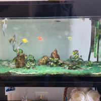 Acquario PURE XL LED