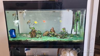 Acquario PURE XL LED