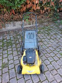 rasaerba motore brics&stratton