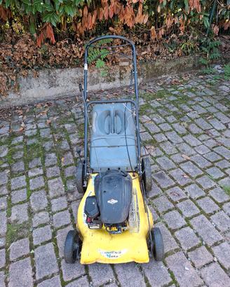 rasaerba motore brics&stratton
