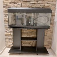 Acquario 100lt completo + accessori