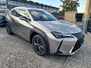 lexus-ux-300h-urban