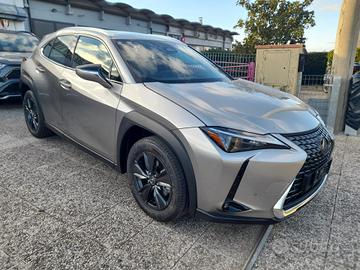 Lexus UX 300h Urban