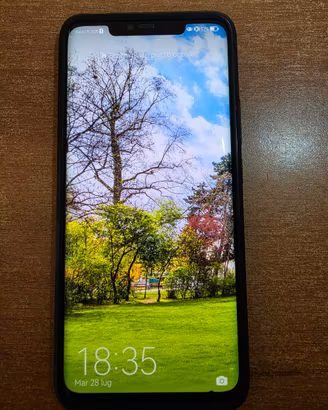 smartphone Huawei mate20 pro 