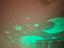 Immagine 6
