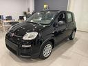 fiat-panda-1-0-firefly-hybrid-s-s-70cv