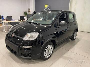 Fiat Panda 1.0 firefly hybrid s&s 70cv