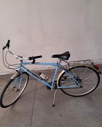 Bicicletta Tecnobike