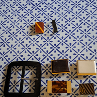 Lotto di eleganti fibbie