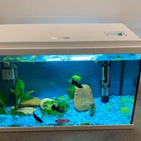 Acquario 20 lt